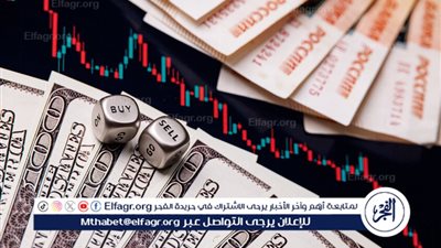 خبير: أعمال القرصنة تمثل خطرًا مباشرًا على الاقتصاد المصري والعالمي