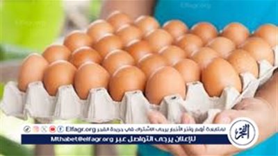 أسعار طبق البيض اليوم الخميس 11-9-2025 في قنا