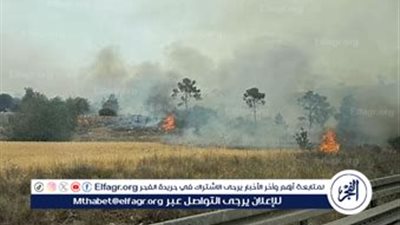 عاجل - حرائق واسعة تضرب رمات جان ونهر الفرات وبيت شيمش.. والسلطات الإسرائيلية تدفع بقوات حماية مدنية