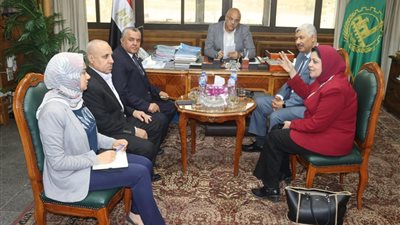 محافظ القليوبية يلتقي رئيس شركة جنوب الدلتا للكهرباء