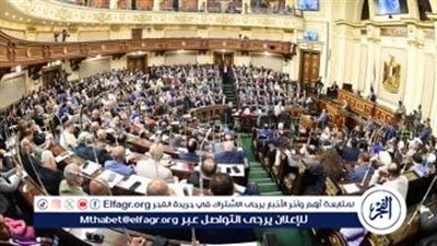 نائب: قانون الإجراءات الجنائية 