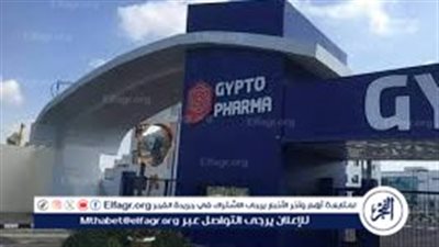 متحدث الحكومة يزف بشرى سارة عن الاقتصاد المصري 