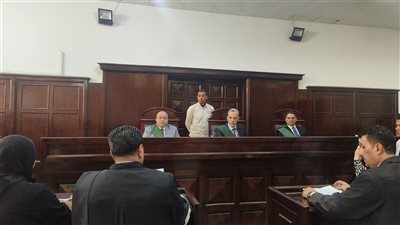 التفاصيل الكاملة لمقتل شخص علي يد شقيقين والجنايات تسدل الستار بالإعدام المتهمان 