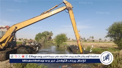 حملات مكبرة لتطهير الترع والمصارف بقرى مراكز أسيوط 