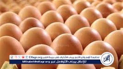 أسعار طبق البيض اليوم الاحد 14-9-2025 في قنا