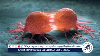 فاليري ماكورماك: مصر مثال عظيم في مكافحة السرطان والتحكم في الأمراض المزمنة