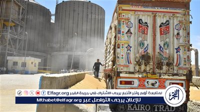 محافظ أسيوط: توريد أكثر من 46 ألف طن قمح حتى الان 