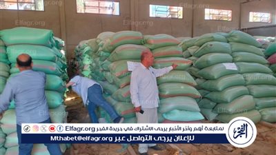 شون وصوامع المحافظة تستقبل 150 ألف طن من القمح ضمن موسم توريد 2025