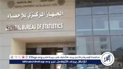 الجهاز المركزي للإحصاء: التعداد السنوي يمثل عبئًا على الدولة وتصنيف الوحدات السكنية متاح
