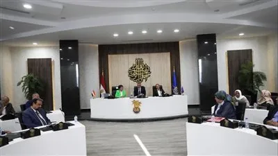 محافظ أسوان يترأس اجتماع المجلس الإقليمى للسكان