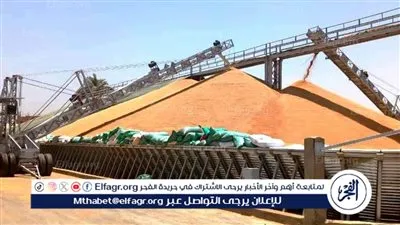 محافظ سوهاج: توريد 82 ألف طن قمح منذ بدء موسم التوريد دون معوقات