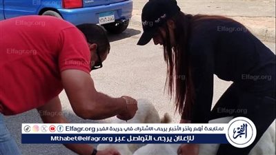 الطب البيطري بالإسماعيلية يكثف حملاته لتحصين الكلاب الضالة ضد مرض السعار