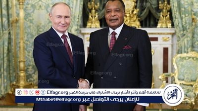 بوتين: تعزيز العلاقات مع إفريقيا من أولويات السياسة الخارجية الروسية