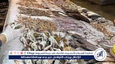 أسعار الأسماك اليوم الخميس الموافق 7-5-2025 في سوهاج