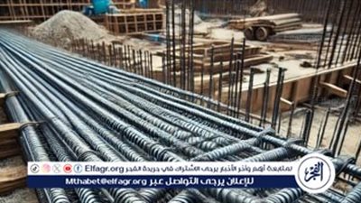 تراجع ملحوظ في أسعار الحديد وارتفاع أسعار الأسمنت يربكان سوق البناء في مصر