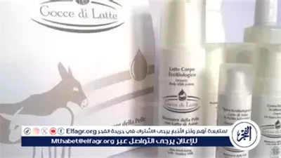 في اليوم العالمي للحمار.. حليب الحمير يتصدر صناعة مستحضرات التجميل ويجتاح الأسواق العالمية