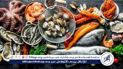 أسعار المأكولات البحرية والجمبري اليوم الجمعة 31-10-2025 في محافظة قنا