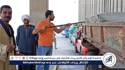 شون وصوامع المحافظة تستقبل 230 ألف طن من القمح ضمن موسم توريد 2025