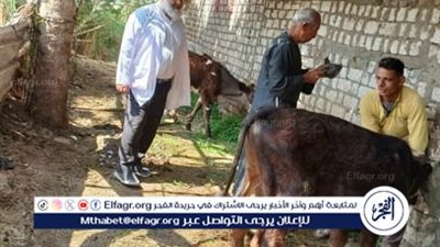 الطب البيطري بالفيوم في تقرير شامل عن أنشطته خلال أبريل