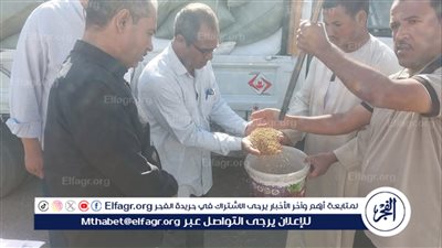 محافظ أسيوط: توريد 89 الف طن قمح للشون والصوامع بمراكز المحافظة 