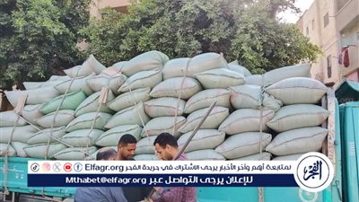 شون وصوامع المحافظة تستقبل 249 ألف طن من القمح ضمن موسم توريد 2025