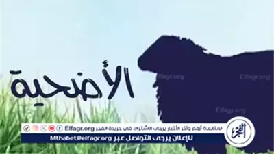 ما حكم الأضحية إذا تبين حملها؟.. الأزهر يوضح 