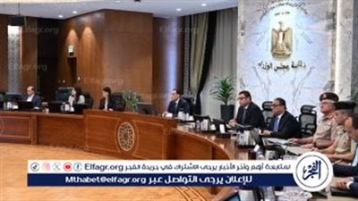 مجلس الوزراء: نستهدف تحويل 220 ألف سيارة للعمل بالغاز الطبيعي