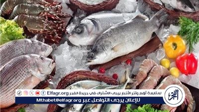 أسعار السمك اليوم الخميس 11-9-2025 في محافظة قنا