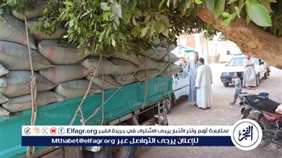 شون وصوامع المحافظة تستقبل 266 ألف طن من القمح ضمن موسم توريد 2025