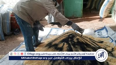 زراعة المنيا: حملة لمكافحة القوارض عقب حصاد المحاصيل الشتوية