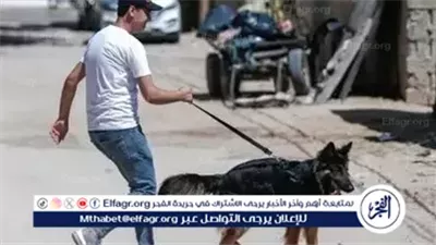 الزراعة: تنظيم حيازة الكلاب والحيوانات الخطرة لحماية المواطنين وفق قانون جديد