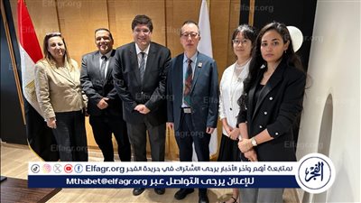 مصر تبحث تعزيز التعاون مع مركز اليونسكو للابتكار في التعليم العالي