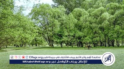 فرع الغطاء النباتي بالقصيم يوقّع اتفاقية لزراعة 400 ألف شجرة