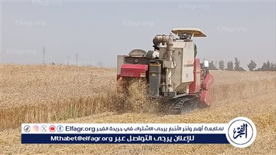 الإرشاد الزراعي ينظم فعالية لدعم توريد القمح بالقنطرة شرق بالإسماعيلية 