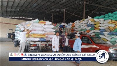 استقبال 176 ألف طنًا من القمح داخل شون وصوامع البحيرة