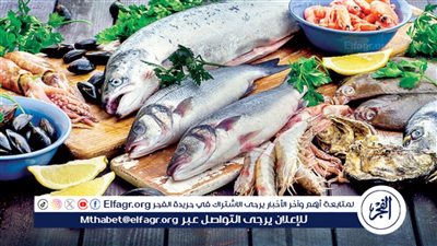 انخفاض ملحوظ في أسعار الأسماك اليوم.. والجمبري يعود للارتفاع الطفيف