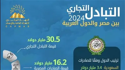 الإحصاء: 18% ارتفاعًا في الصادرات المصرية إلى الدول العربية خلال عام 2024