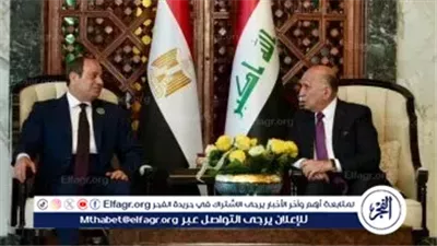 عاجل- مصر تعرض رؤيتها للقضايا العربية والإقليمية بقمة بغداد