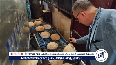 ضبط 25 طن دقيق ولحوم ومخللات وملح مجهول المصدر وتحرير 366 مخالفة بالدقهلية