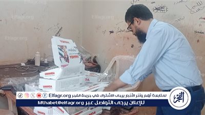 حملات مكثفة رقابية بمديرية تموين الإسكندرية 
