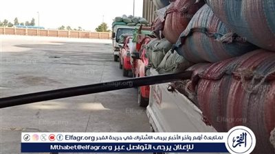 330 ألف طن قمح بصوامع المنيا في موسم التوريد 2025