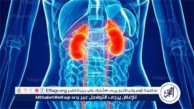 أدوية شائعة قد تضر الكلى وتؤدي إلى فشلها.. تعرف على أبرزها 