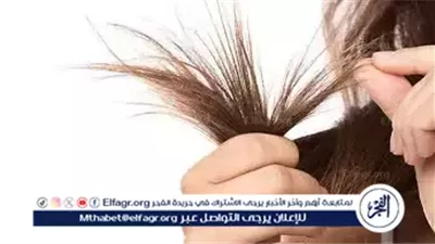 طرق فعالة لحماية الشعر من التلف خلال فصل الصيف.. خطوات بسيطة تحافظ على النعومة واللمعان