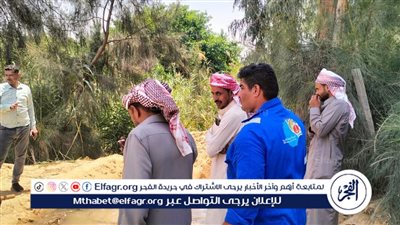 رئيس مياه القناة: استخراج جذور الأشجار من شبكات قرية ميت ابو الكوم شرق الإسماعيلية 