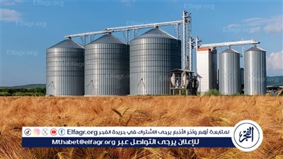 قفزة قياسية في توريد القمح بمحافظة الفيوم خلال موسم 2025