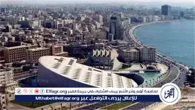 تفاصيل افتتاح الدورة العشرين من معرض الإسكندرية للكتاب.. أحمد زايد يوضح