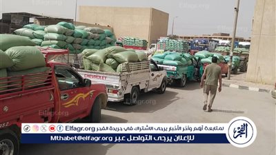 توريد 375 ألف طن من القمح بصوامع المحافظة منذ بدء موسم 2025