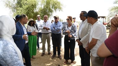 محافظ قنا ووفد البنك الدولي يتفقدون تكتل النباتات الطبية بقفط