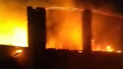 احتراق 5 آلاف كتكوت.. حريق هائل في مزرعة دواجن بالفيوم