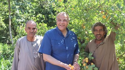 محافظ القليوبية يتفقد مزارع مشمش العمار